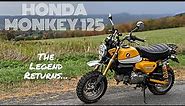 Honda Monkey 125 Review and Ride | The Good, The Bad, and Everything in Between