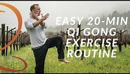 20-Min Qi Gong Exercise Routine - Easy Home Workout with Lee Holden