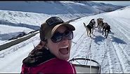 Winter dogsledding at Alaskan Husky Adventures