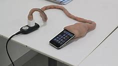 There's an iPhone Charger That Looks like An Umbilical Cord