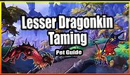 Lesser Dragonkin Taming│Hunter Pet Guide│Dragonflight