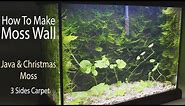 Moss Wall Aquascaping & 3 Sides Carpet - 15 weeks growing