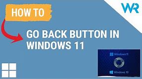 Go back button not working in Windows 11? Fix it now
