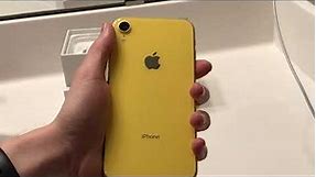 iPhone XR Unboxing, Setup, And First Impressions!!