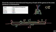 How to create a chromosome map from crossover frequencies