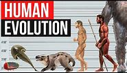 Human Evolution | By Years