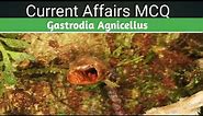 Gastrodia Agnicellus seen in news | Current affairs Ias Mcq