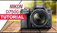 Nikon D7500 Tutorial - How To Setup Your DSLR
