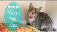 How to Worm Your Cat Like the Vets