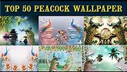 New Top 50 Peacock Wall Wallpaper for bedroom living room | peacock wallpaper | 3d peacock wallpaper