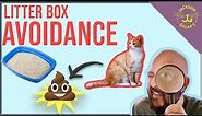 Why Your Cat Poops Outside the Litterbox!
