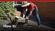How To Remove Tree Stumps - DIY At Bunnings