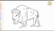 Bison drawings | Forest buffalo drawings | How to draw A Bison step by step | Easy animal drawings