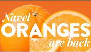 Navel Oranges: Back In Season - Sunkist ​