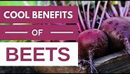 4 Interesting Health Benefits of Beets