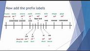 The Metric System & Prefixes
