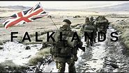F A L K L A N D S | Falklands War Edit | Can't Take My Eyes Off You