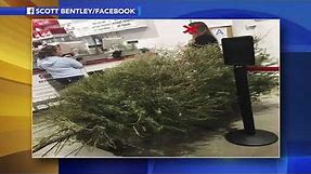 Woman returns dead Christmas tree to Costco in January