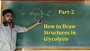 How to draw different structures involved in glycolysis part-2
