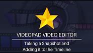 How to Take a Snapshot | VideoPad Video Editing Software Tutorial