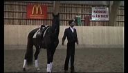 Paulo Bastos: demonstration with lusitano horses