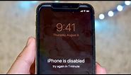 How To Un-Disable ANY iPhone!