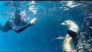 Snorkeling in the Galápagos Islands