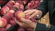 Tip Of The Day: White Peaches