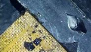 How To Clean A15 iPhone 13 CPU with soldering iron #shorts