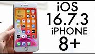 iOS 16.7.3 On iPhone 8 Plus! (Review)
