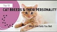 Top 10 Cat Breeds and Their Personality. (Which one suits you best)