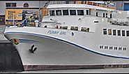 Kreuzfahrtschiff Bäderschiff MS FUNNY GIRL Emden Helgoland-Reisen cruiser DFPZ IMO 7315569