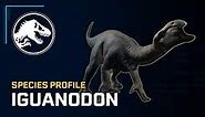 Species Profile - Iguanodon
