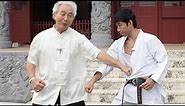Shotokan-ryu meets Okinawa Gojyu-ryu / Meitatsu Yagi and Tatsuya Naka【GREAT JOURNEY OF KARATE】