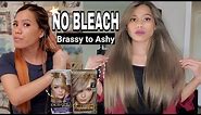 Dying My Hair Ash Brown again | Loreal Excellence 8UA Ultra Ash Medium & Soft Silver Blonde 8S