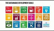 Do you know all 17 SDGs?