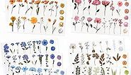NESSCCI Pressed Flower Themed Stickers (Assorted 240 Pieces,12 Sheets) Scrapbook Supplies,Stickers for Journaling,Dried Floral Resin Stickers,Scrapbook Stickers,Junk Journal Stickers,Laptop Stickers