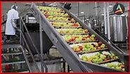 Amazing Fruit Packaging Process - Fruit Processing Process Machines And Processes