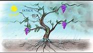 The Vine and the Branches | John 15:1-15
