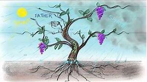 The Vine and the Branches | John 15:1-15
