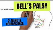 2-Minute Neuroscience: Bell's Palsy