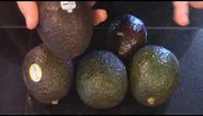 how to tell if an avocado is ripe and good or bad