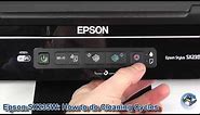 Epson Stylus SX235W: How to do Printhead Cleaning Cycles and Improve Print Quality