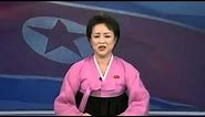 Over-Enthusiastic North Korea TV Anchor Announces Rocket Launch