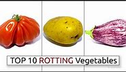 Top 10 Rotting Vegetable Timelapses