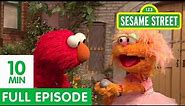 Sesame Street: Elmo's Playdate with a Pet Rock | Crafty Friends Episode on HBO Max