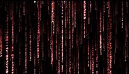 3D Matrix Code Rain Screensaver - 1 Hour Red Matrix Theme 4K Live Wallpaper