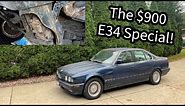 What a $900 Running and Driving BMW E34 535i/5 Looks Like In 2023 | Could be Worse?