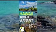 2 HRS Fantastic Views of Hawaiian Coastline for iPhones & Tablets - 4K Seascapes & Scenic Beaches