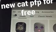 pfp cat for free :)